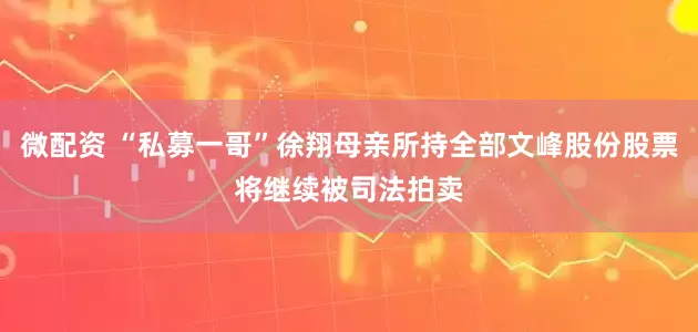 微配资 “私募一哥”徐翔母亲所持全部文峰股份股票将继续被司法拍卖