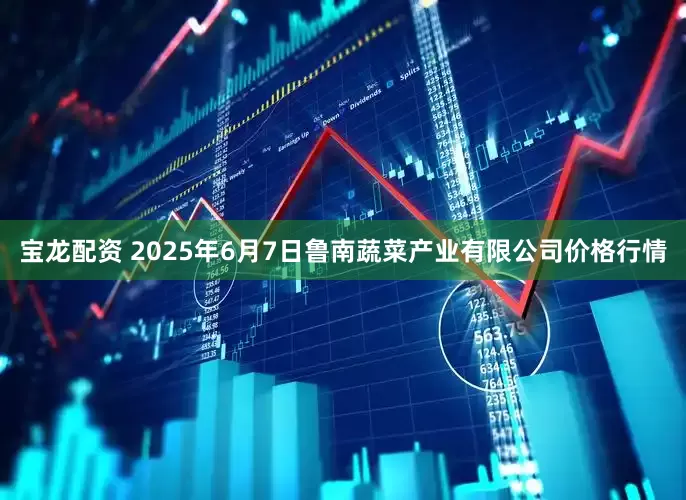 宝龙配资 2025年6月7日鲁南蔬菜产业有限公司价格行情