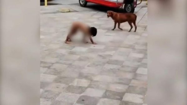 一片红配资 热心人实探“野人小孩”村子并报案，村民：其父曾上山“灵修”后就“不正常了”